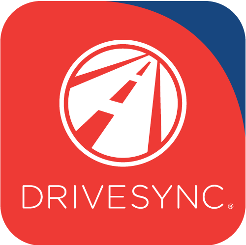 DriveSync Logo
